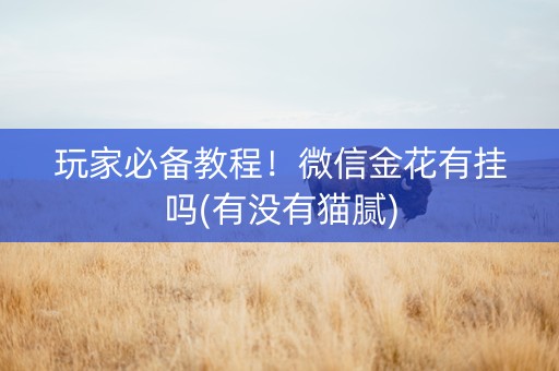 玩家必备教程！微信金花有挂吗(有没有猫腻)