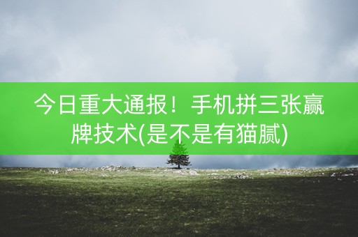 今日重大通报！手机拼三张赢牌技术(是不是有猫腻)
