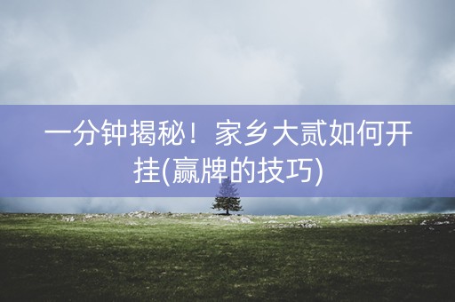 一分钟揭秘！家乡大贰如何开挂(赢牌的技巧)