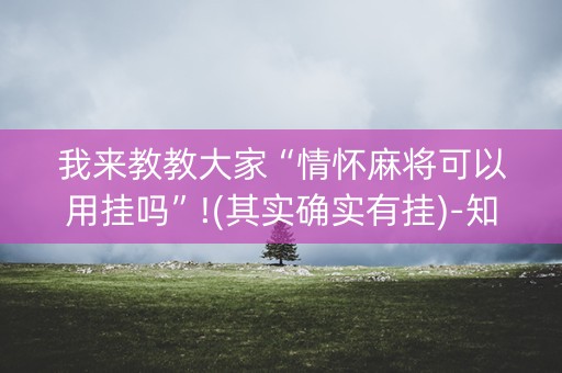 我来教教大家“情怀麻将可以用挂吗”!(其实确实有挂)-知乎