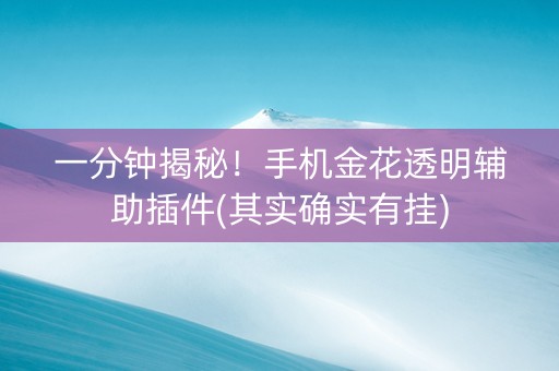 一分钟揭秘！手机金花透明辅助插件(其实确实有挂)