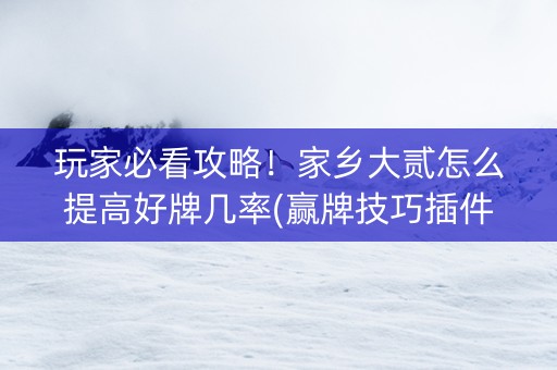玩家必看攻略！家乡大贰怎么提高好牌几率(赢牌技巧插件安装)