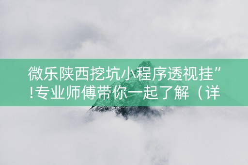 微乐陕西挖坑小程序透视挂”!专业师傅带你一起了解（详细教程）-知乎