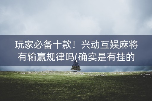 玩家必备十款！兴动互娱麻将有输赢规律吗(确实是有挂的)
