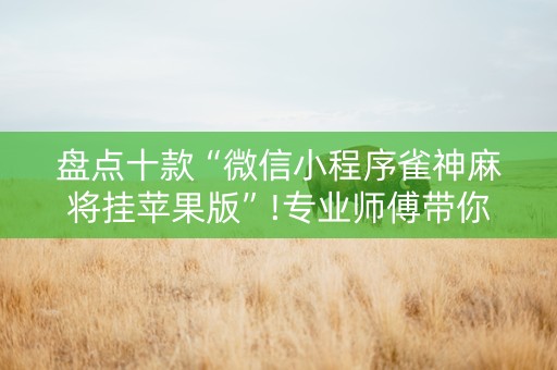 盘点十款“微信小程序雀神麻将挂苹果版”!专业师傅带你一起了解（详细教程）-知乎