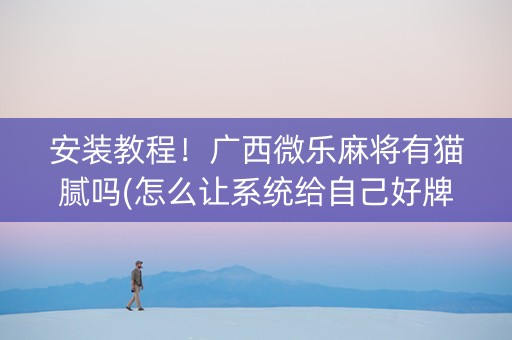 安装教程！广西微乐麻将有猫腻吗(怎么让系统给自己好牌)