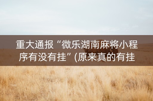 重大通报“微乐湖南麻将小程序有没有挂”(原来真的有挂)-知乎