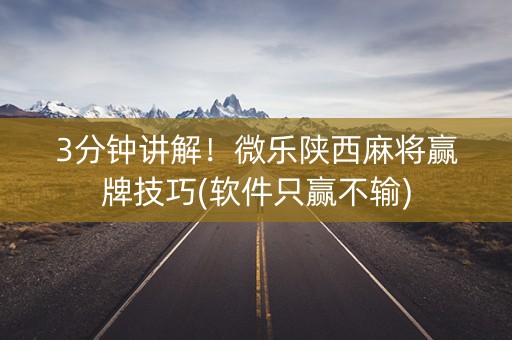 3分钟讲解！微乐陕西麻将赢牌技巧(软件只赢不输)
