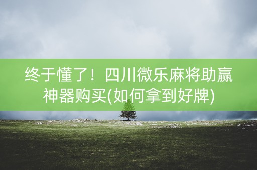 终于懂了！四川微乐麻将助赢神器购买(如何拿到好牌)