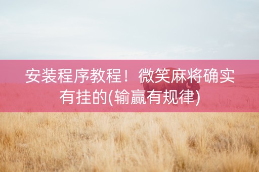 安装程序教程！微笑麻将确实有挂的(输赢有规律)