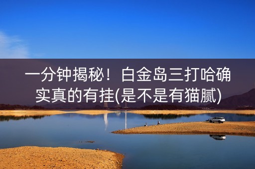 一分钟揭秘！白金岛三打哈确实真的有挂(是不是有猫腻)