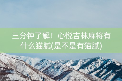 三分钟了解！心悦吉林麻将有什么猫腻(是不是有猫腻)