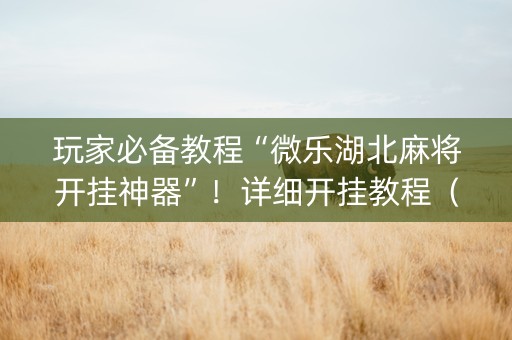 玩家必备教程“微乐湖北麻将开挂神器”！详细开挂教程（确实真的有挂)-知乎
