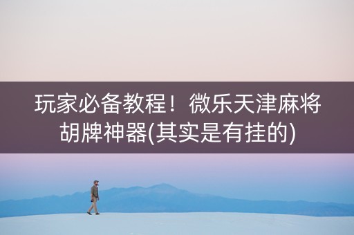 玩家必备教程！微乐天津麻将胡牌神器(其实是有挂的)
