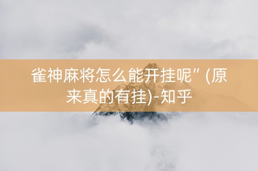 雀神麻将怎么能开挂呢”(原来真的有挂)-知乎