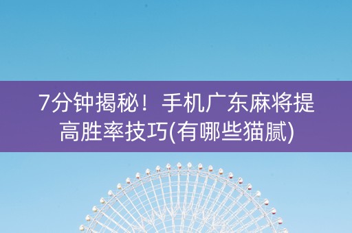 7分钟揭秘！手机广东麻将提高胜率技巧(有哪些猫腻)