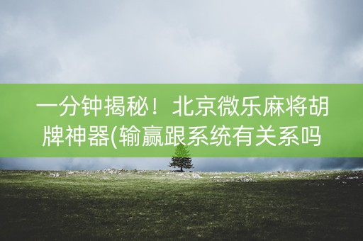 一分钟揭秘！北京微乐麻将胡牌神器(输赢跟系统有关系吗)