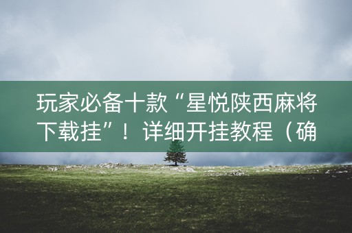 玩家必备十款“星悦陕西麻将下载挂”！详细开挂教程（确实真的有挂)-知乎