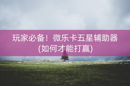 玩家必备！微乐卡五星辅助器(如何才能打赢)