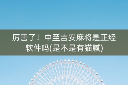 厉害了！中至吉安麻将是正经软件吗(是不是有猫腻)