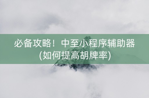 必备攻略！中至小程序辅助器(如何提高胡牌率)