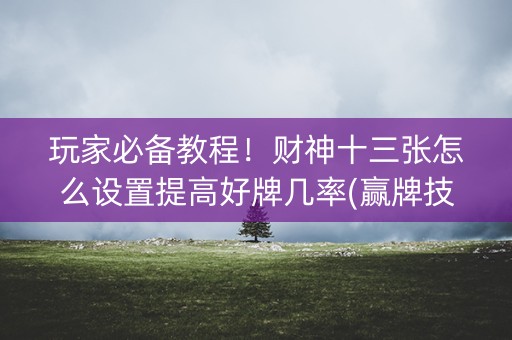 玩家必备教程！财神十三张怎么设置提高好牌几率(赢牌技巧插件安装)