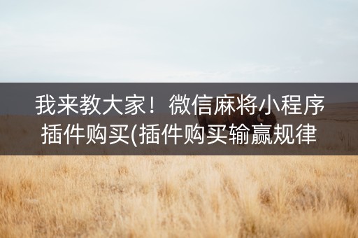 我来教大家！微信麻将小程序插件购买(插件购买输赢规律)