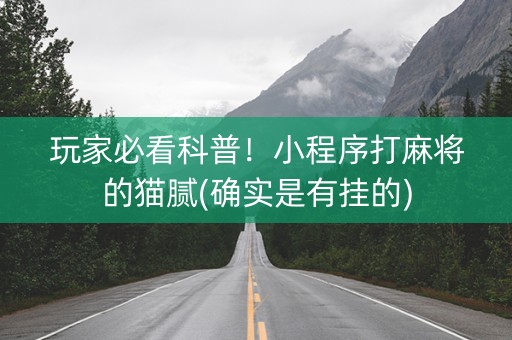 玩家必看科普！小程序打麻将的猫腻(确实是有挂的)