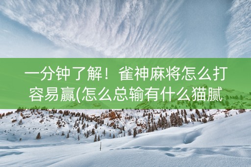 一分钟了解！雀神麻将怎么打容易赢(怎么总输有什么猫腻)