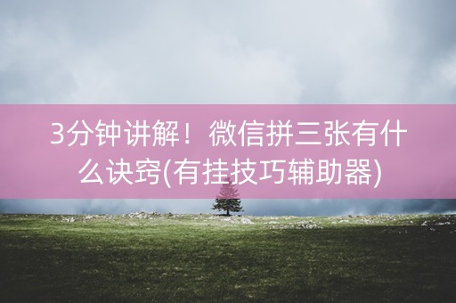 3分钟讲解！微信拼三张有什么诀窍(有挂技巧辅助器)
