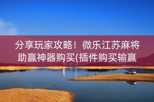 分享玩家攻略！微乐江苏麻将助赢神器购买(插件购买输赢规律)