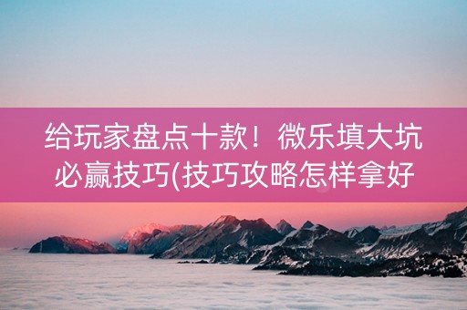 给玩家盘点十款！微乐填大坑必赢技巧(技巧攻略怎样拿好牌)
