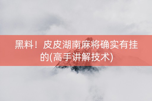 黑料！皮皮湖南麻将确实有挂的(高手讲解技术)