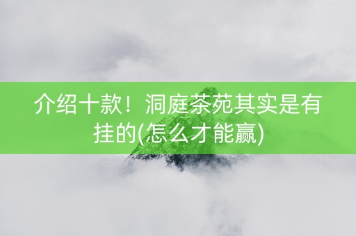 介绍十款！洞庭茶苑其实是有挂的(怎么才能赢)