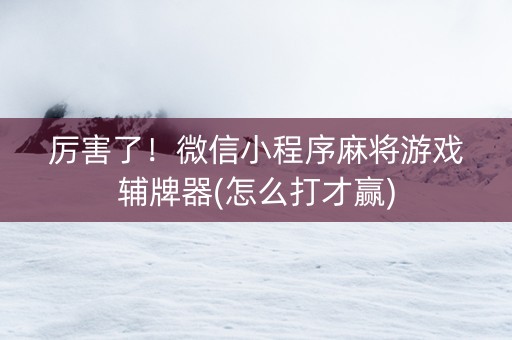 厉害了！微信小程序麻将游戏辅牌器(怎么打才赢)