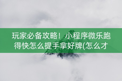 玩家必备攻略！小程序微乐跑得快怎么提手拿好牌(怎么才能赢得多)