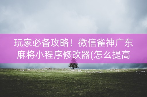 玩家必备攻略！微信雀神广东麻将小程序修改器(怎么提高胜率)
