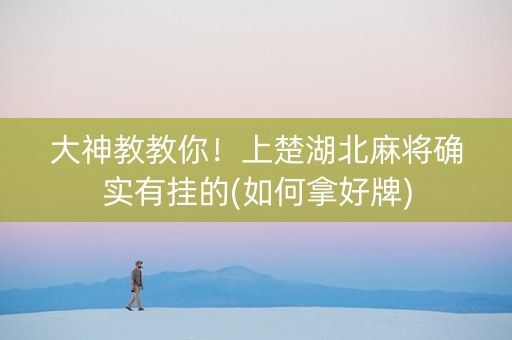大神教教你！上楚湖北麻将确实有挂的(如何拿好牌)
