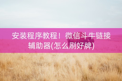 安装程序教程！微信斗牛链接辅助器(怎么刷好牌)