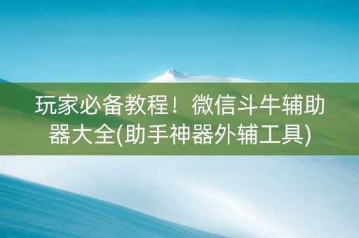 玩家必备教程！微信斗牛辅助器大全(助手神器外辅工具)