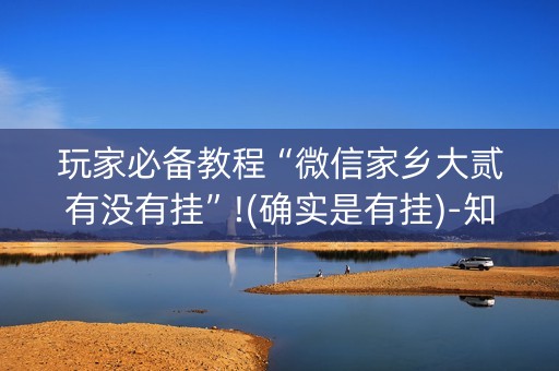玩家必备教程“微信家乡大贰有没有挂”!(确实是有挂)-知乎