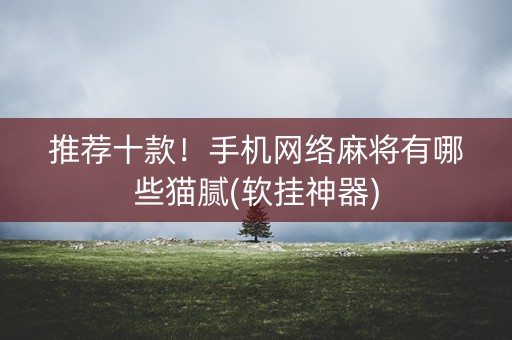 推荐十款！手机网络麻将有哪些猫腻(软挂神器)