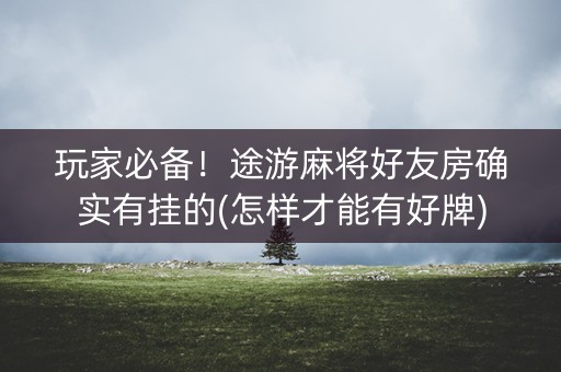 玩家必备！途游麻将好友房确实有挂的(怎样才能有好牌)