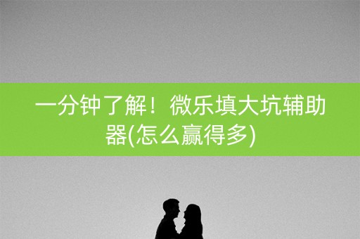 一分钟了解！微乐填大坑辅助器(怎么赢得多)