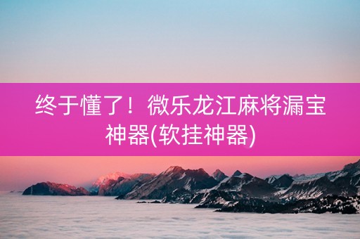 终于懂了！微乐龙江麻将漏宝神器(软挂神器)