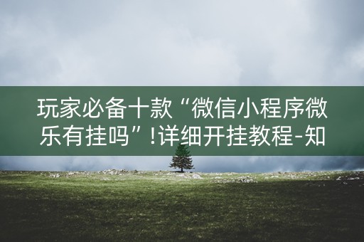 玩家必备十款“微信小程序微乐有挂吗”!详细开挂教程-知乎