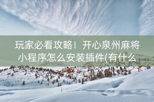 玩家必看攻略！开心泉州麻将小程序怎么安装插件(有什么规律)