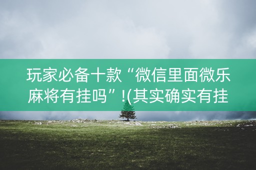 玩家必备十款“微信里面微乐麻将有挂吗”!(其实确实有挂)-知乎