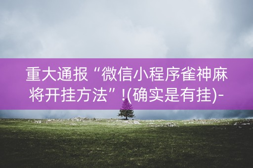 重大通报“微信小程序雀神麻将开挂方法”!(确实是有挂)-知乎