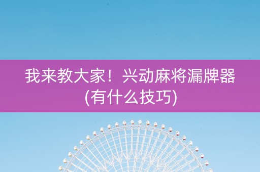 我来教大家！兴动麻将漏牌器(有什么技巧)